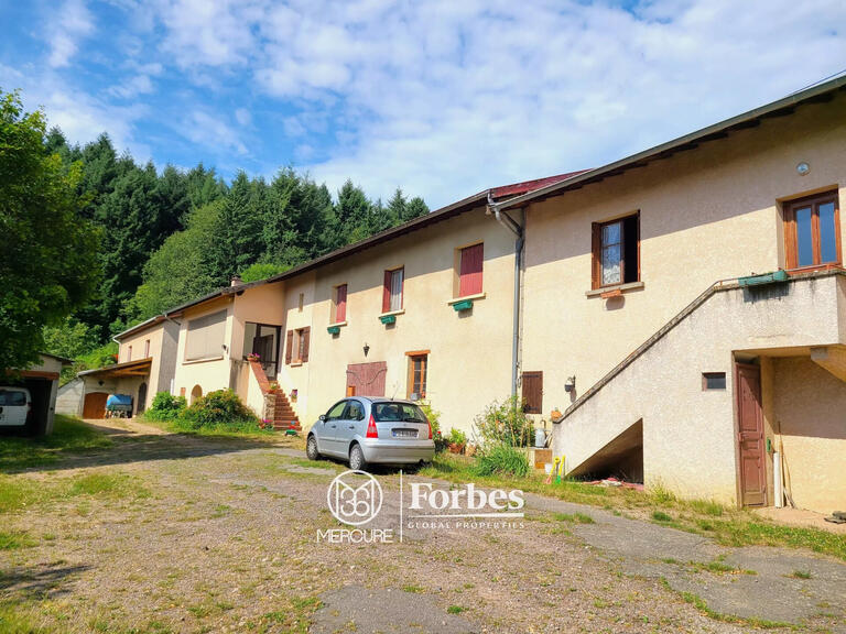 Domaine viticole Fleurie - 10 chambres - 418m²