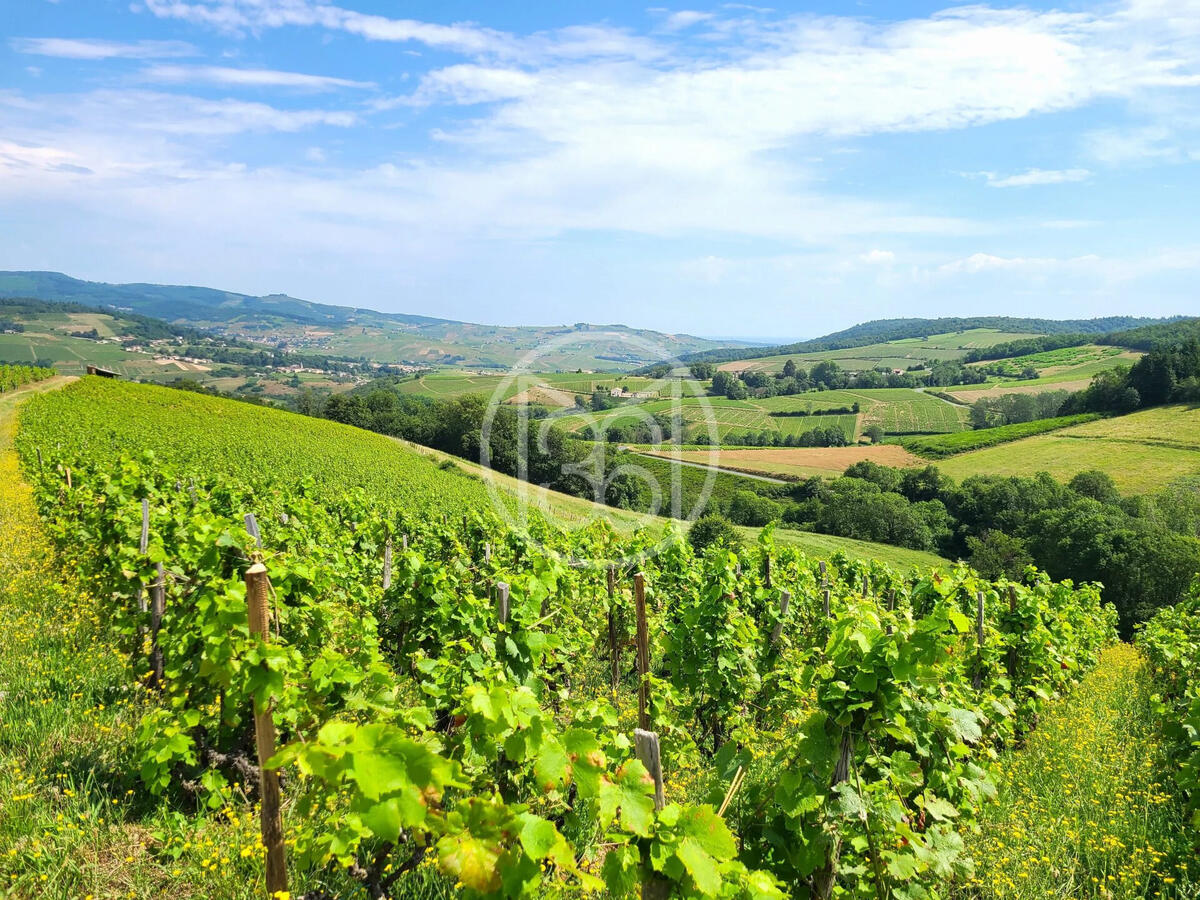 Domaine viticole Fleurie