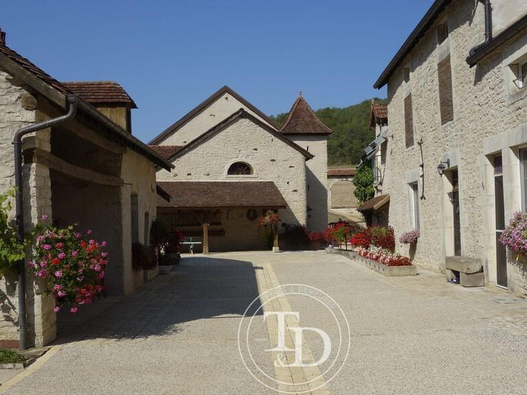 Mill Fontaine-Française - 8 bedrooms