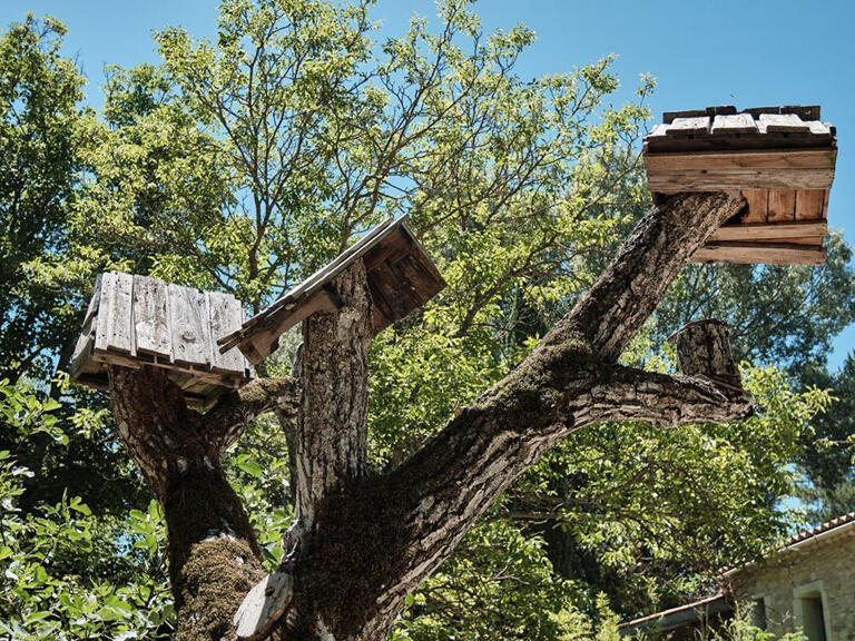 Vente Propriété Forcalquier - 30 chambres