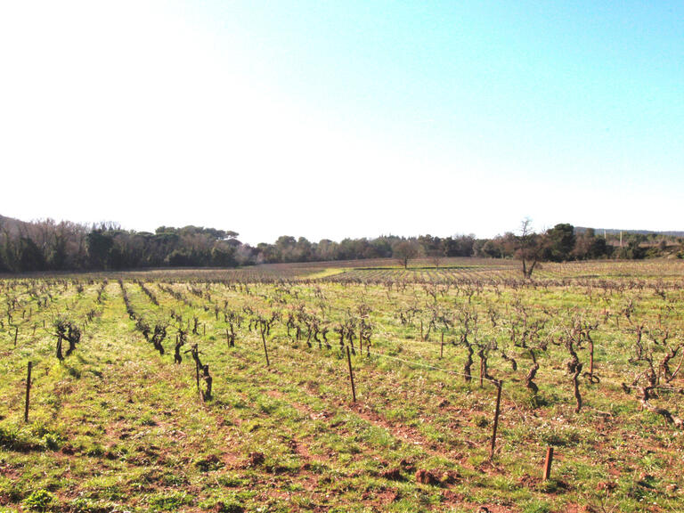 Domaine viticole Fréjus - 4000m²