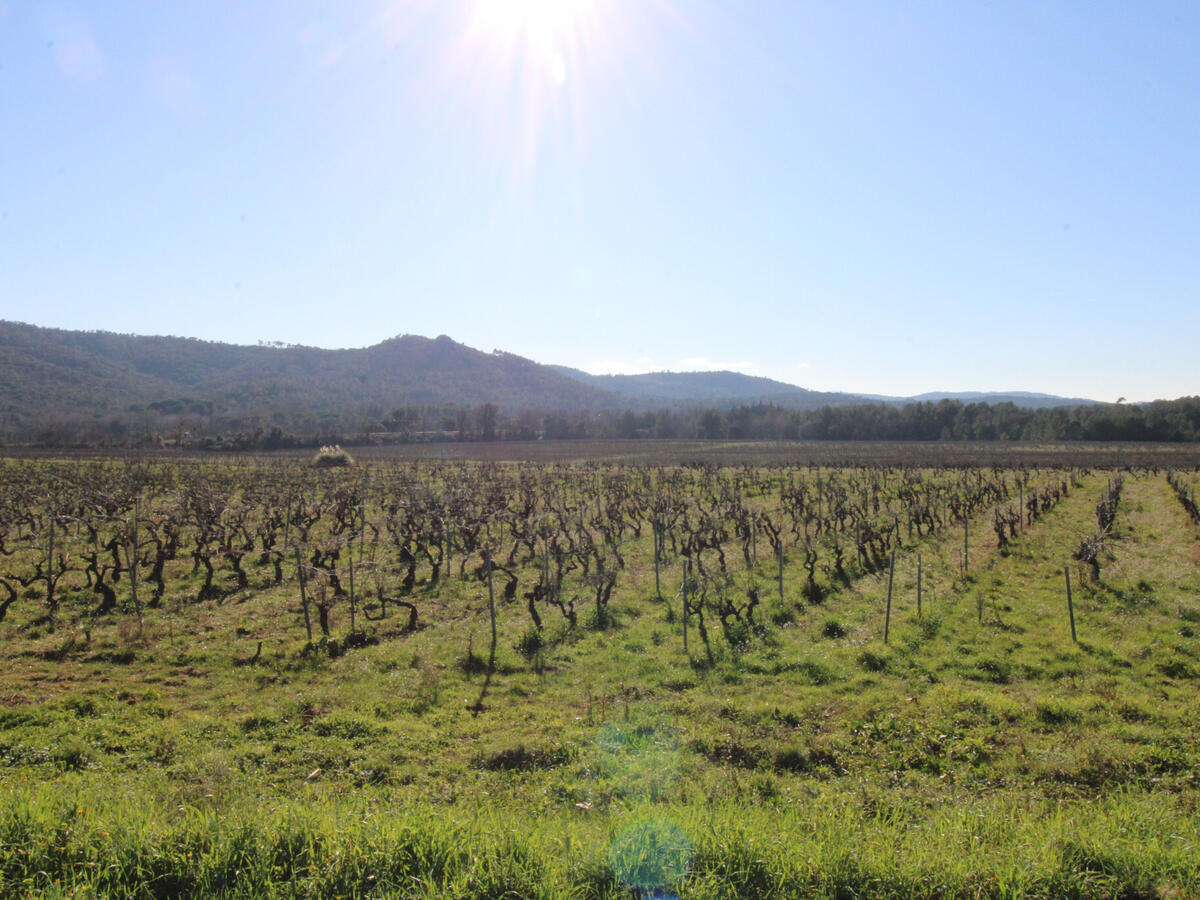 Domaine viticole Fréjus