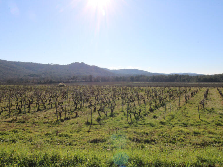 Domaine viticole Fréjus - 4000m²