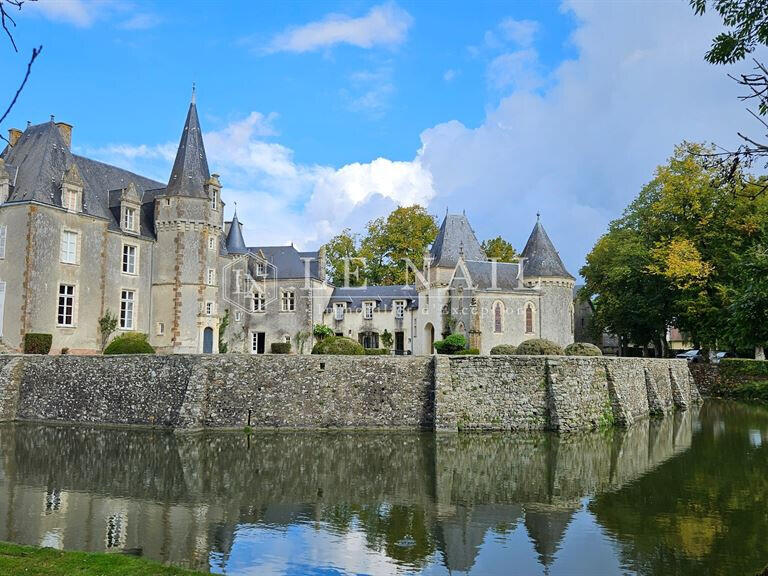 Castle Fresnay-sur-Sarthe - 16 bedrooms - 620m²