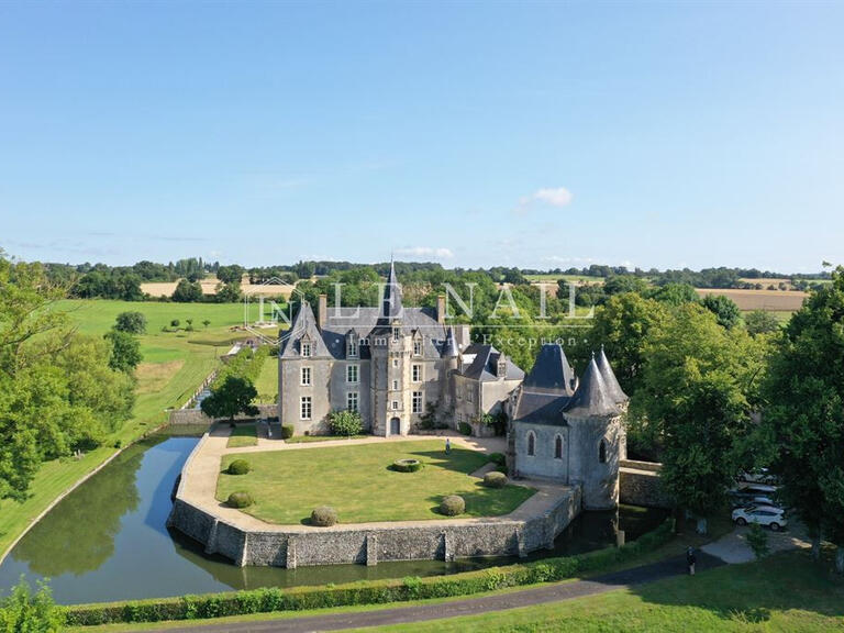 Castle Fresnay-sur-Sarthe - 16 bedrooms - 620m²