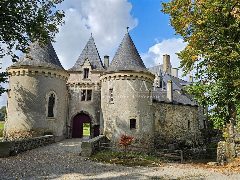 Castle Fresnay-sur-Sarthe - 16 bedrooms - 620m²