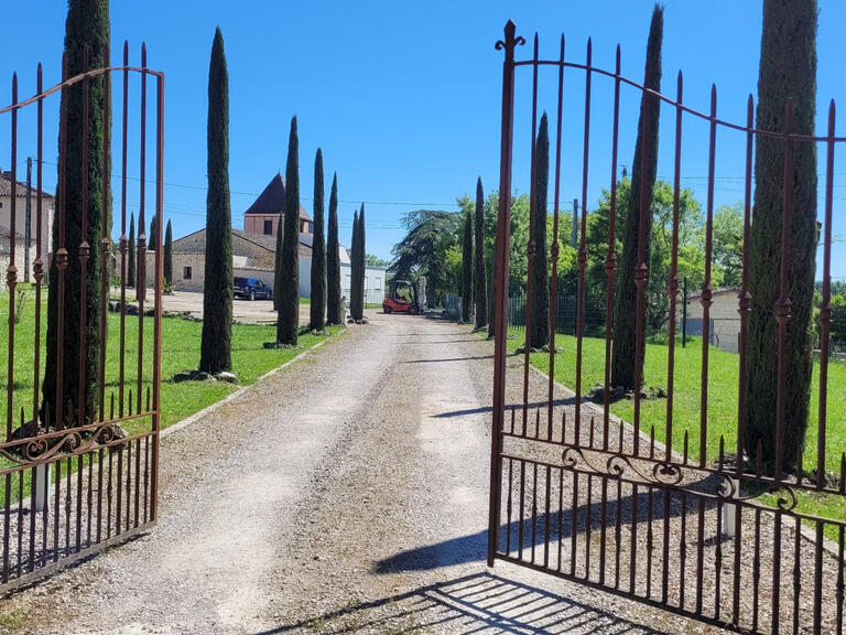 Vente Manoir Gaillac - 10 chambres