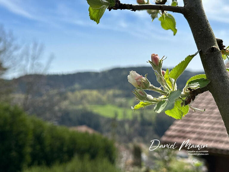 Vente Maison Gérardmer - 5 chambres