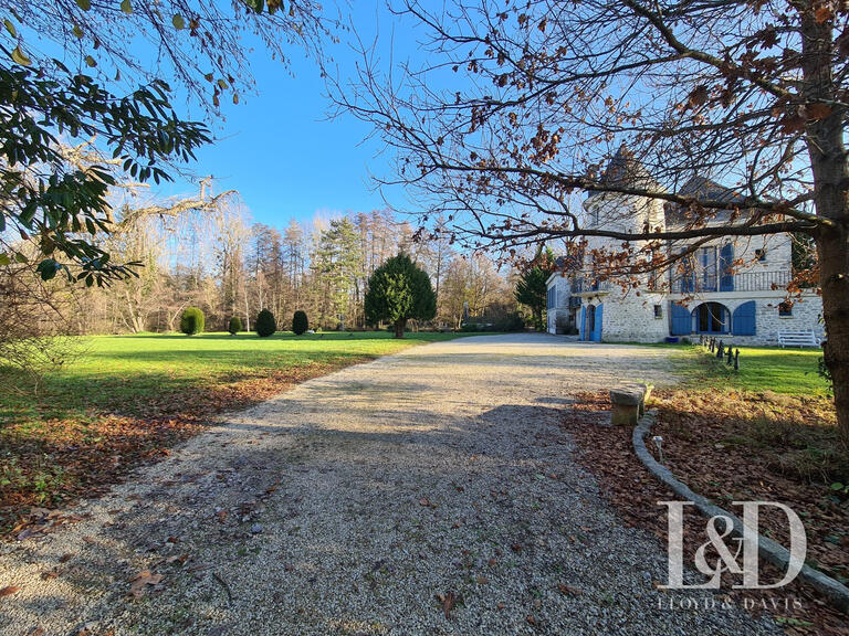 Château Gironville-sur-Essonne - 6 chambres - 600m²