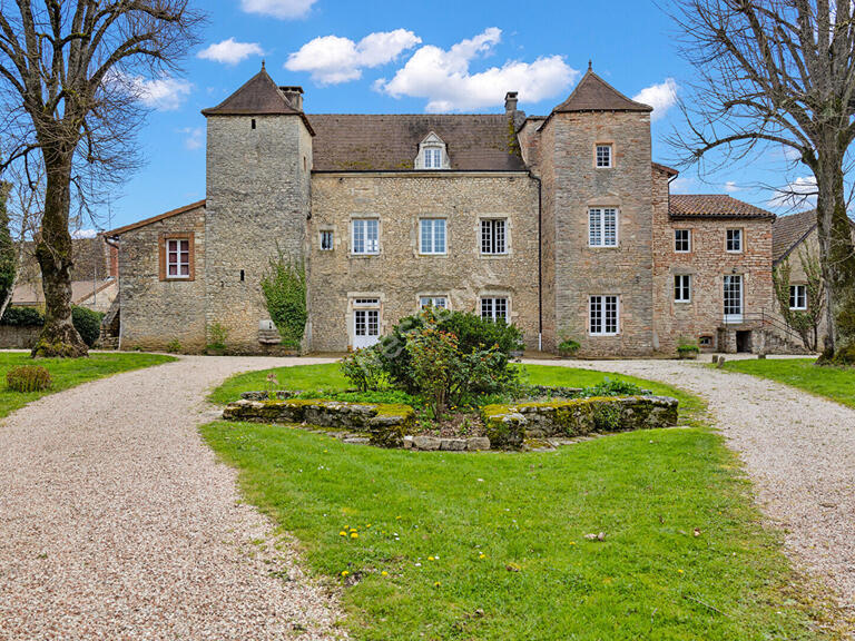 Unusual property Givry - 14 bedrooms - 1000m²