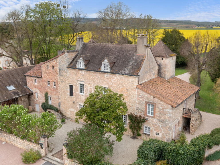 Bien atypique Givry - 14 chambres - 1000m²