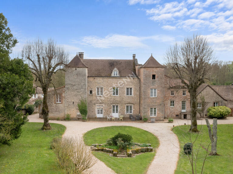 Unusual property Givry - 14 bedrooms - 1000m²