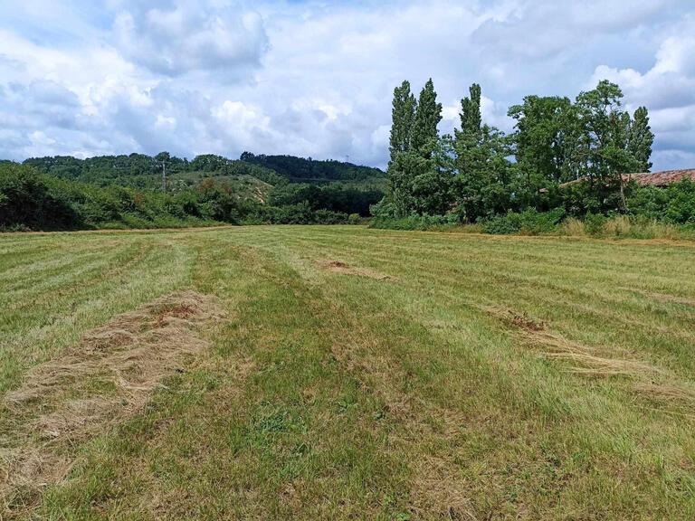 Vente Maison Graulhet - 8 chambres