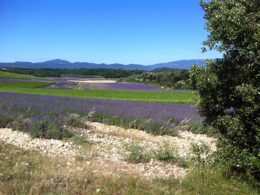 Propriété Grignan