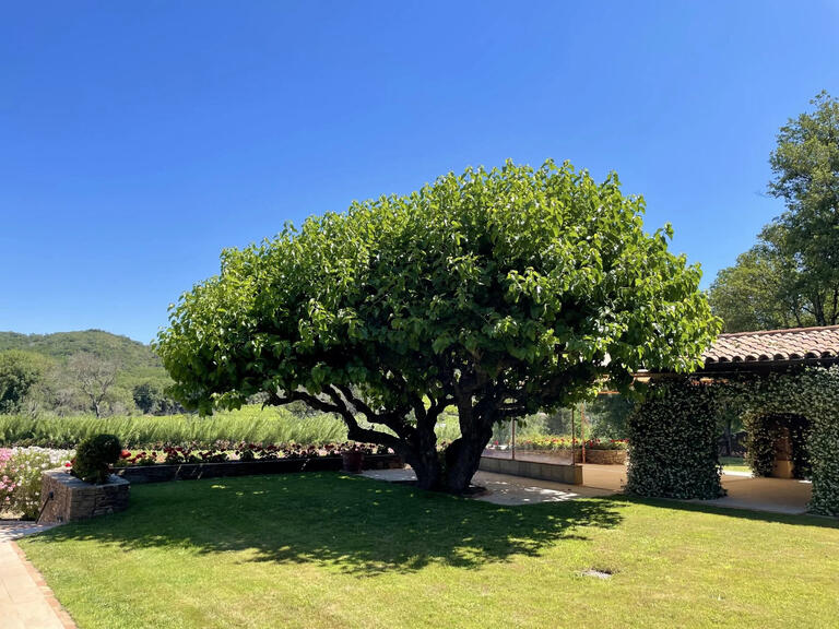 Vineyard Grimaud - 4 bedrooms - 380m²