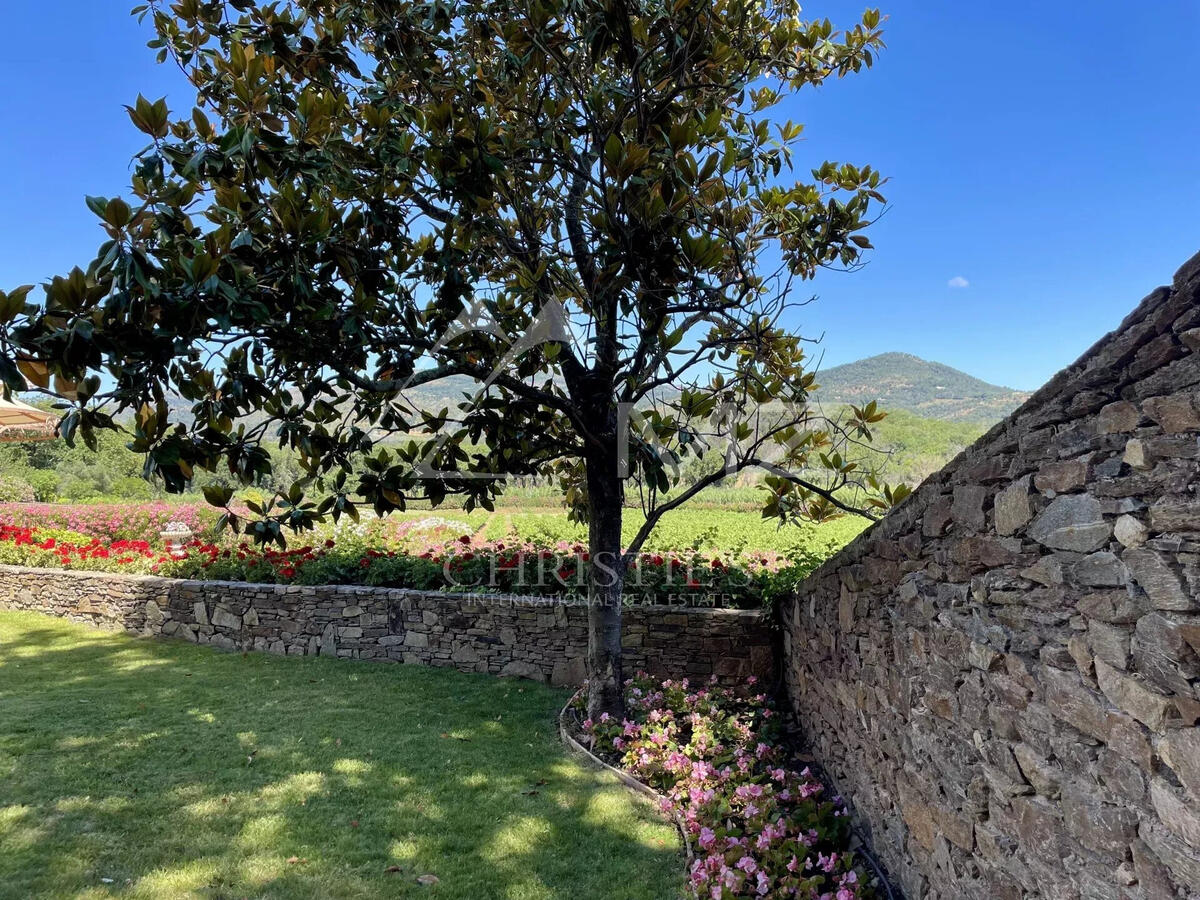 Vineyard Grimaud