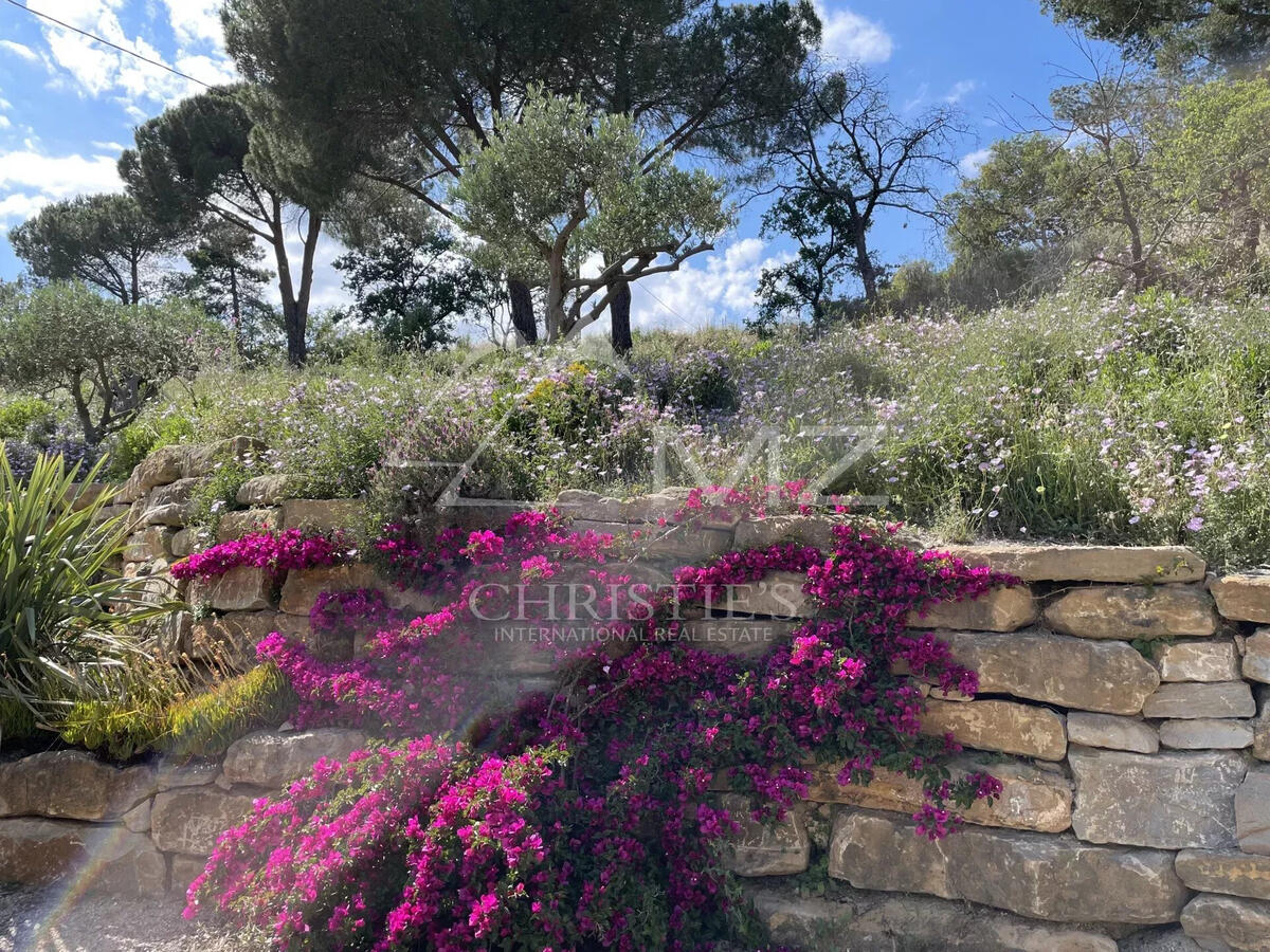 Vineyard Grimaud