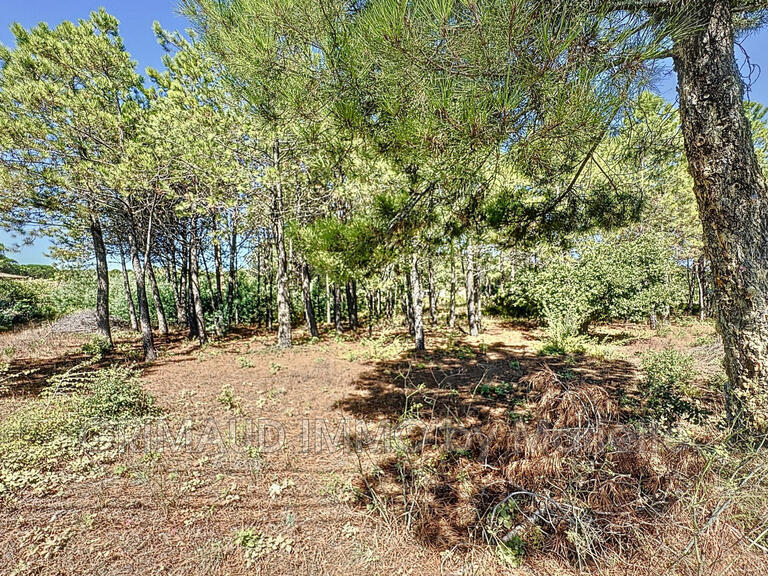 Terrain Grimaud - 5494m²