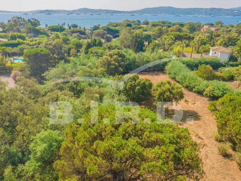 Terrain Grimaud - 2894m²