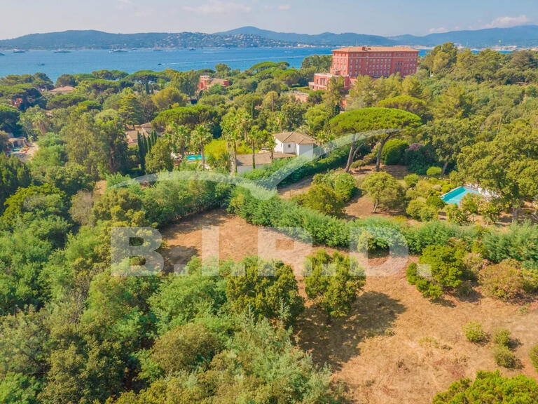 Land Grimaud - 2894m²