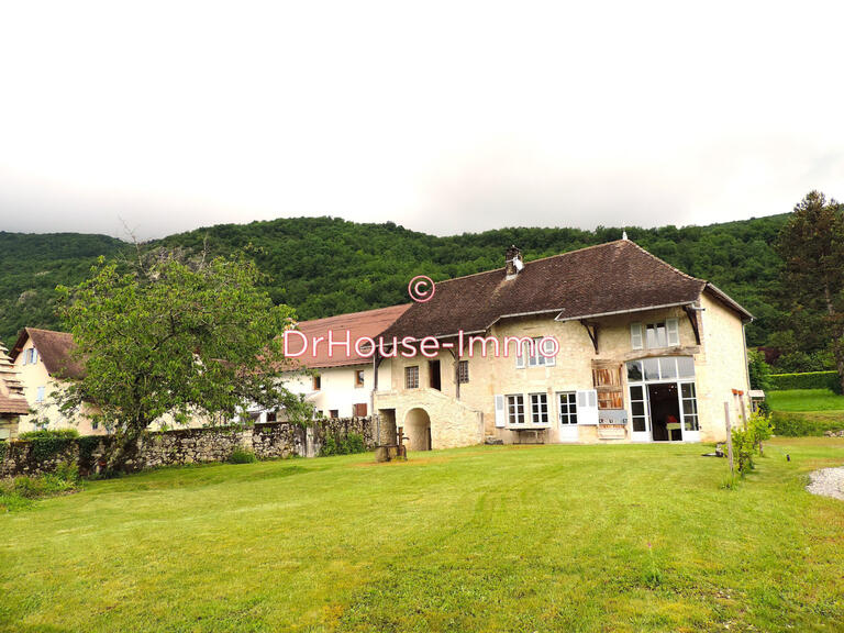 Villa Groslée-Saint-Benoit - 4 chambres - 207m²