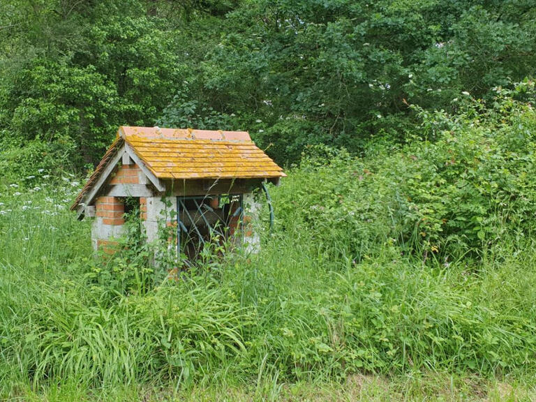 Vente Propriété Guilly - 4 chambres