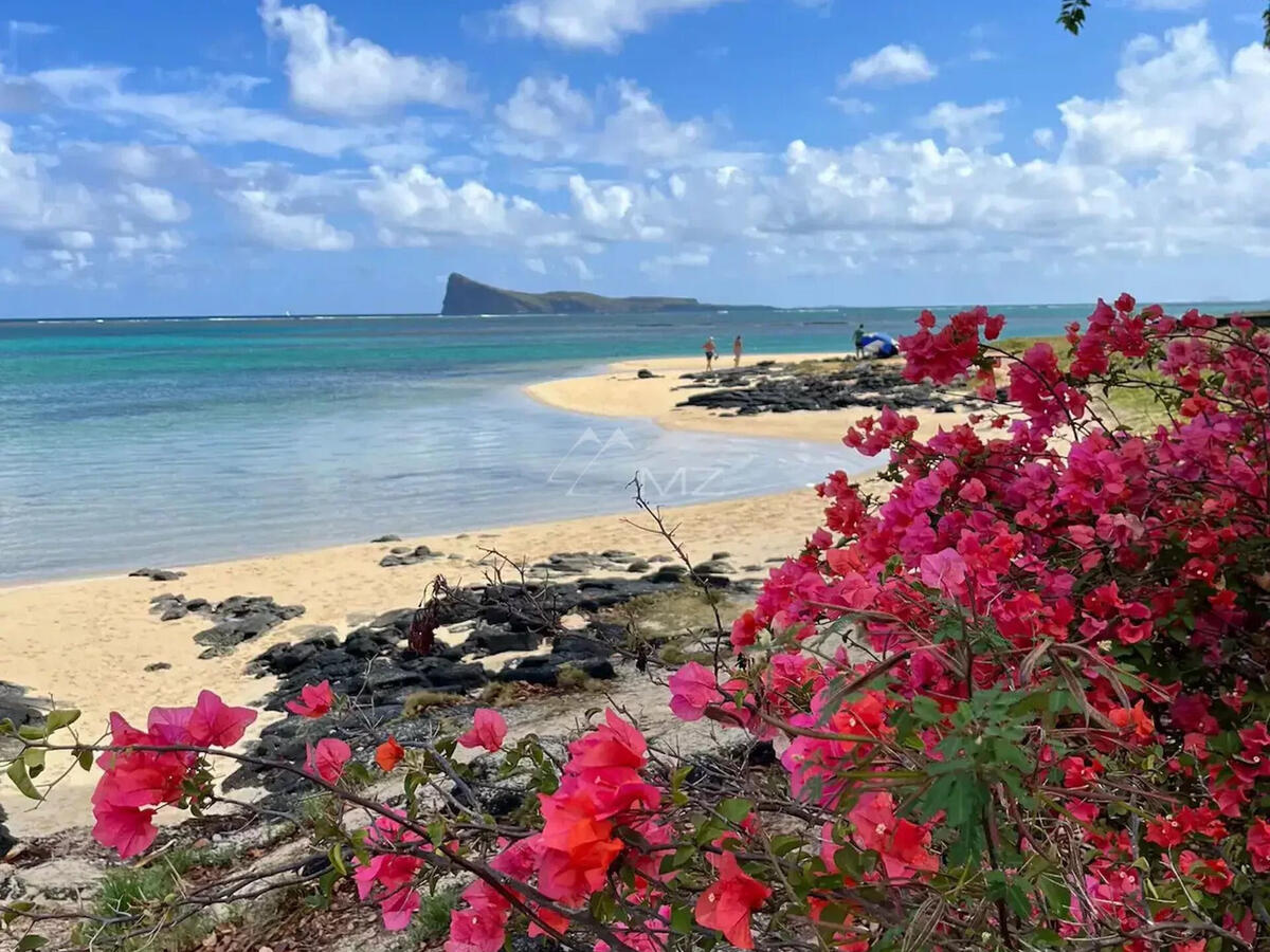 Appartement Île Maurice