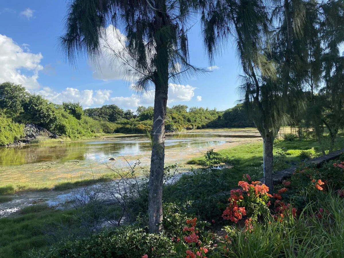 Appartement Île Maurice