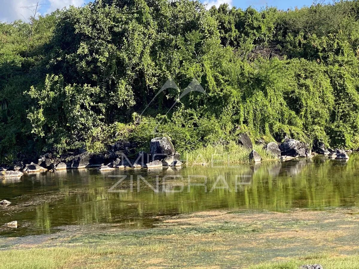 Appartement Île Maurice