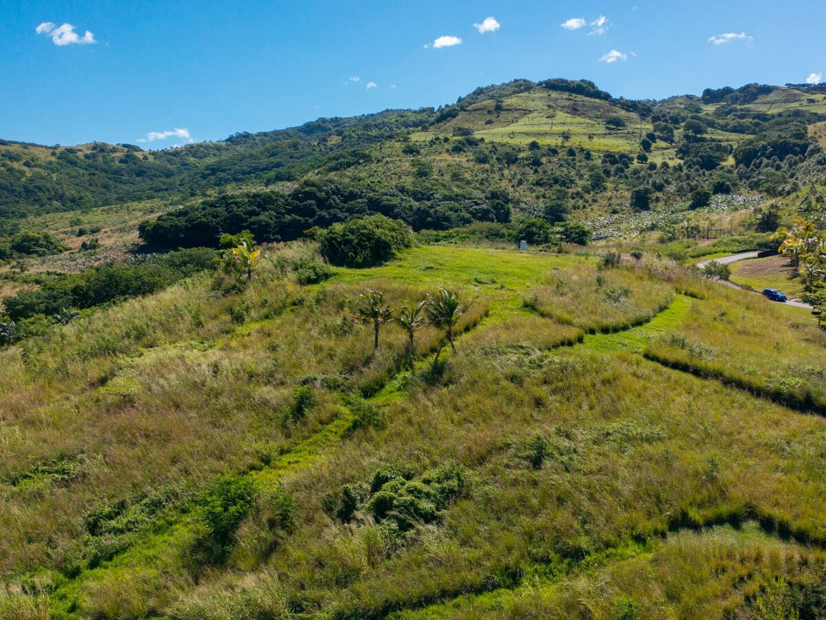 Terrain Île Maurice