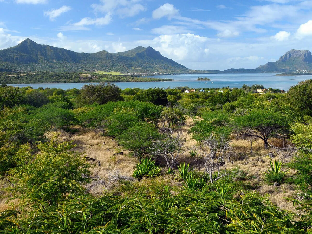 Terrain Île Maurice