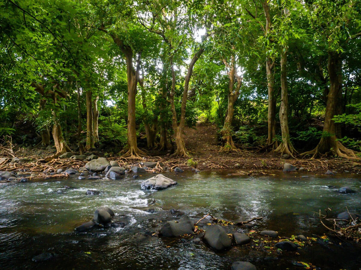 Land Mauritius