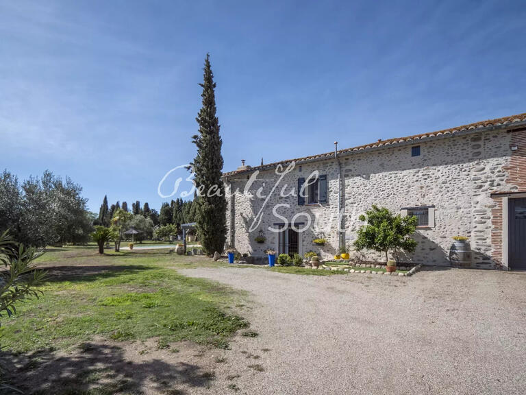 Maison Ille-sur-Têt - 5 chambres - 480m²