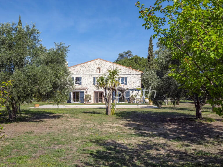 Maison Ille-sur-Têt - 5 chambres - 480m²