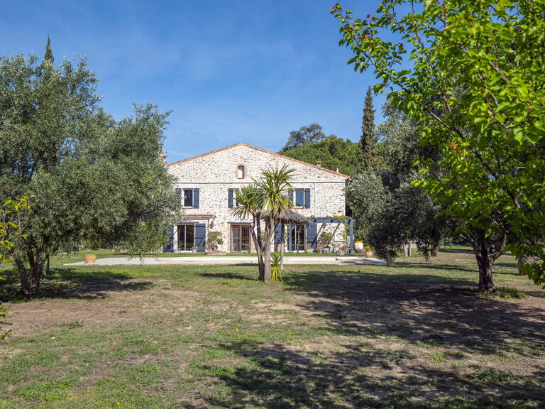 Maison Ille-sur-Têt - 5 chambres - 480m²