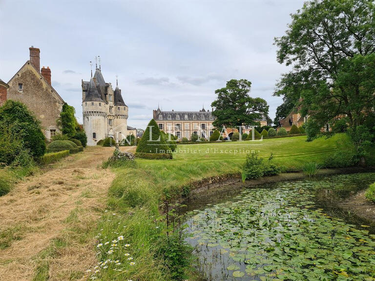 Castle Illiers-Combray - 9 bedrooms - 733m²