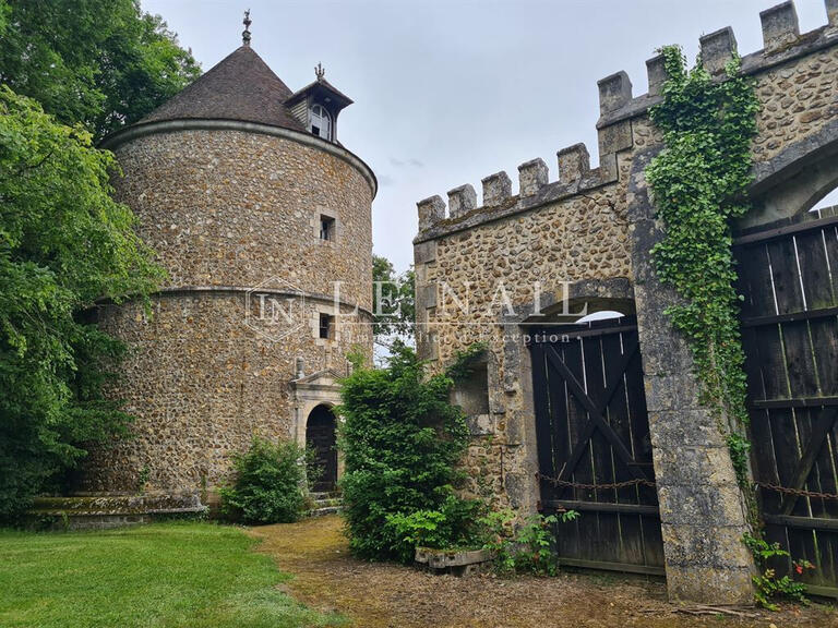 Château Illiers-Combray - 9 chambres - 733m²