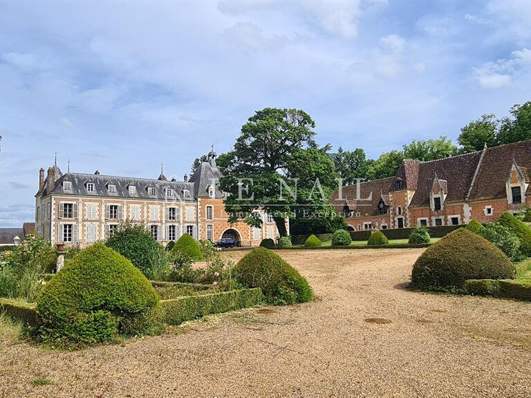 Castle Illiers-Combray - 9 bedrooms - 733m²