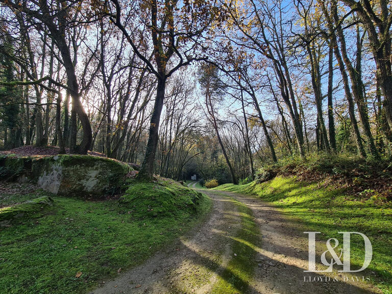 Maison Janville-sur-Juine - 5 chambres - 303m²