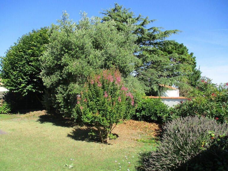 Vente Maison Jard-sur-Mer - 4 chambres