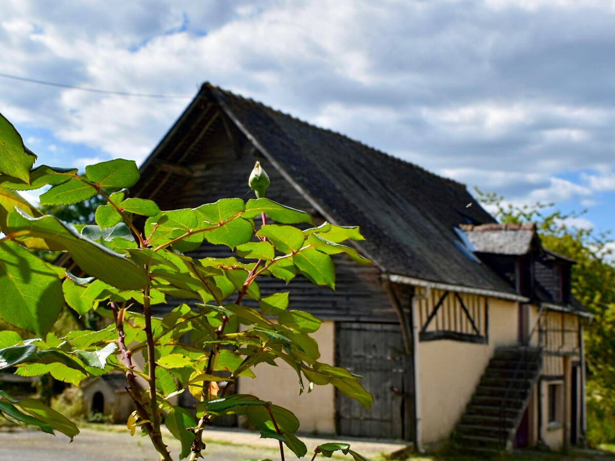 Villa Juvigny-Val-D'Andaine