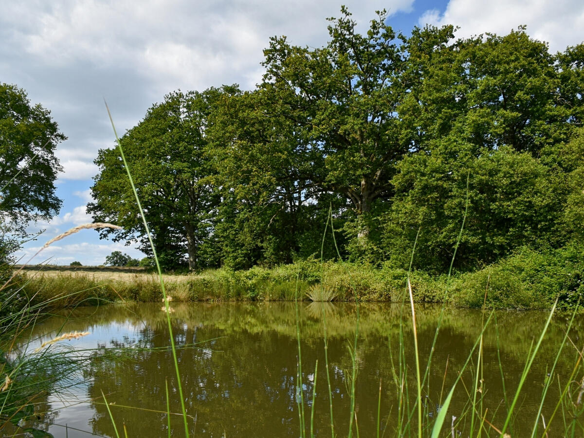 Villa Juvigny-Val-D'Andaine