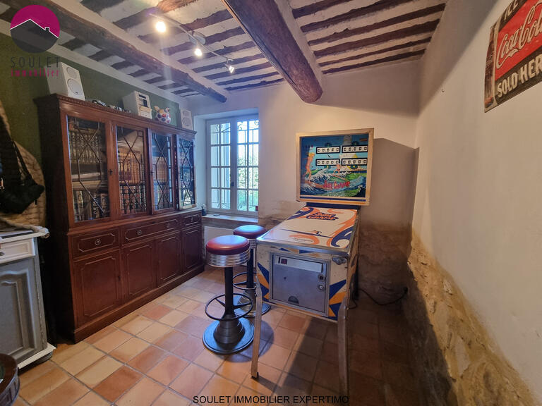 House L'Isle-sur-la-Sorgue - 8 bedrooms - 390m²