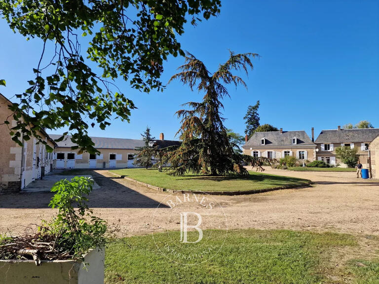 Maison La Bruère-sur-Loir - 8 chambres - 400m²