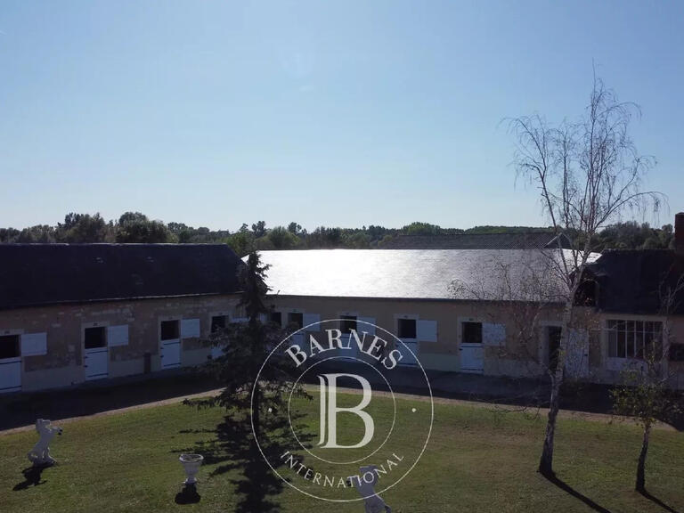 House La Bruère-sur-Loir - 8 bedrooms - 400m²