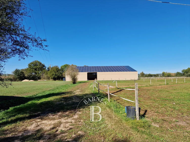 Maison La Bruère-sur-Loir - 8 chambres - 400m²