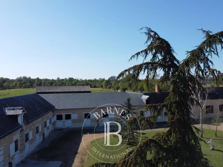 House La Bruère-sur-Loir - 8 bedrooms - 400m²