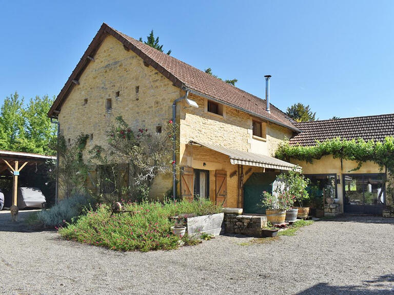 House La Chapelle-Aubareil - 10 bedrooms