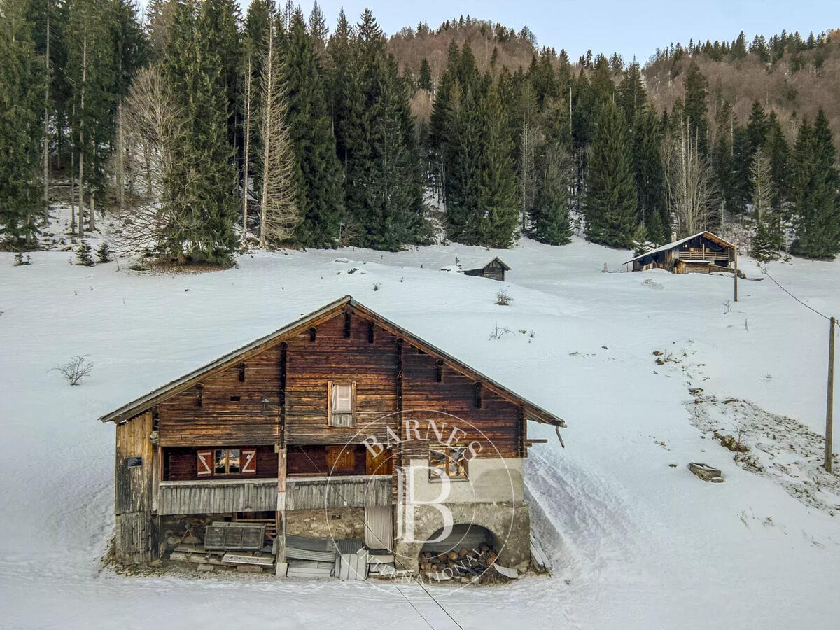 Unusual property La Clusaz