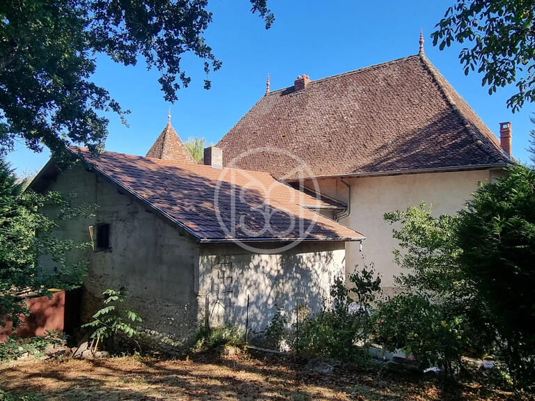 House La Côte-Saint-André - 5 bedrooms - 355m²